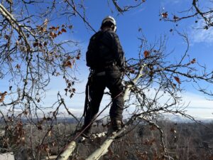 A tree service worker in safety gear positioned high in a tree, overlooking a residential area, performing tree care for Double J Tree Service, LLC in Meridian, ID.