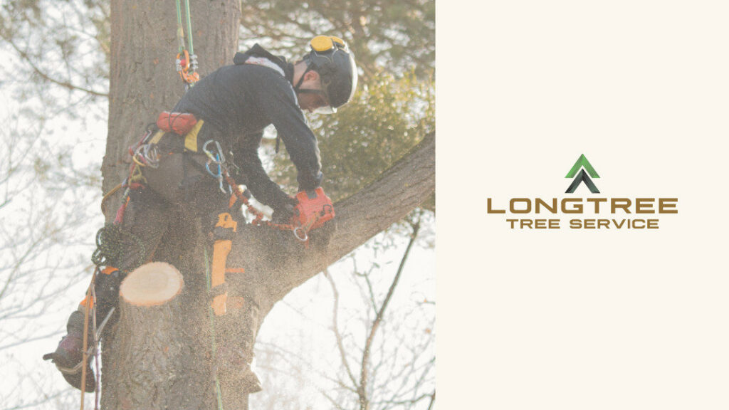 A tree service worker safely cutting a large branch with a chainsaw for Longtree Tree Service in Southfield, MI.