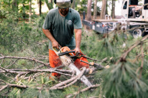 A tree worker wearing safety gear using a chainsaw to cut fallen branches on the ground for Miller's Tree Service in Tallahassee, FL.