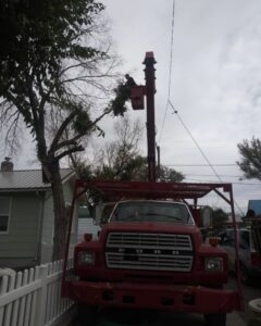 A tree service worker in a bucket lift holding a cut branch for All American Arborists in Rock Springs, WY.
