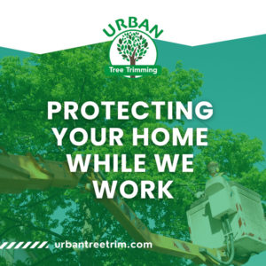 A tree service worker in a bucket lift performing tree work, viewed from below, by Urban Tree Trimming Services in Detroit, MI.