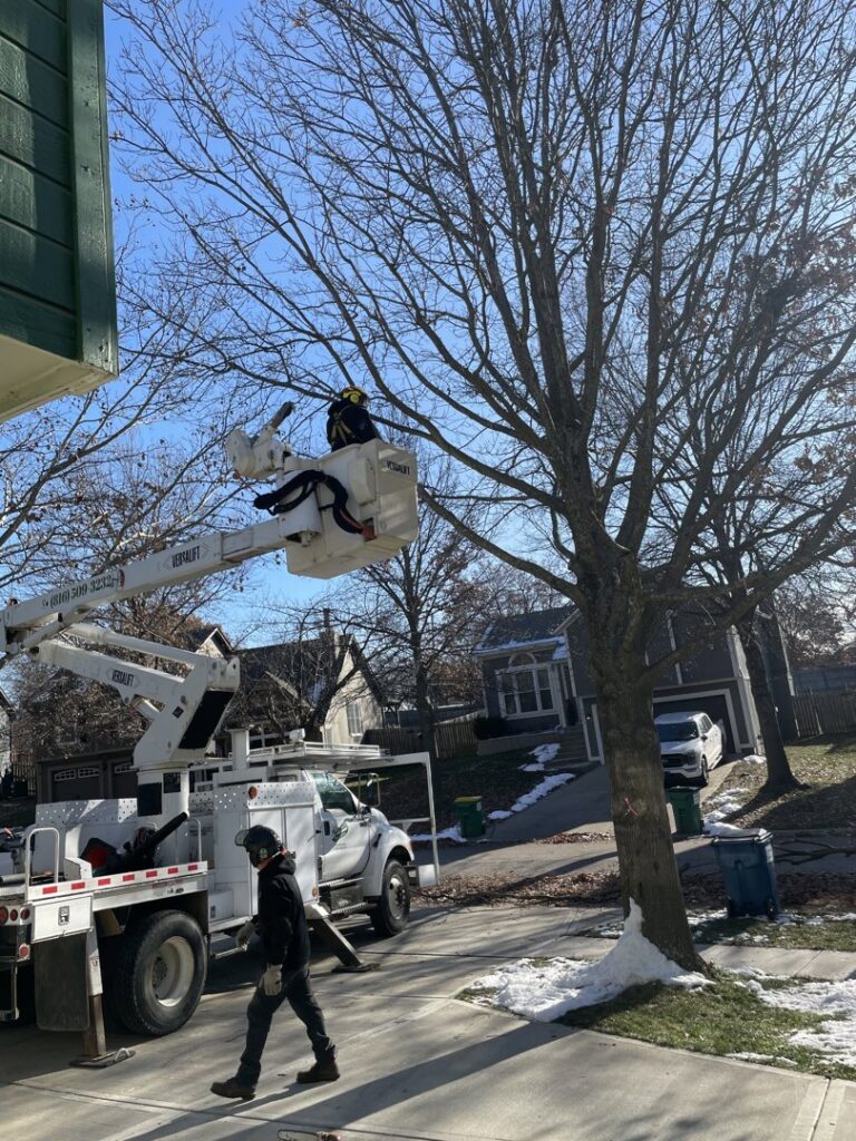 A tree service worker in a bucket truck trimming branches from a large tree for Affordable Treefellers in Shawnee, KS.
