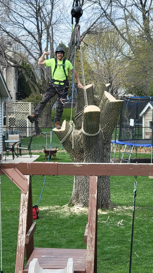 A tree worker in safety gear stands on a large tree stump after a successful tree removal by Canopy Cops Tree Service LLC in Appleton, WI.