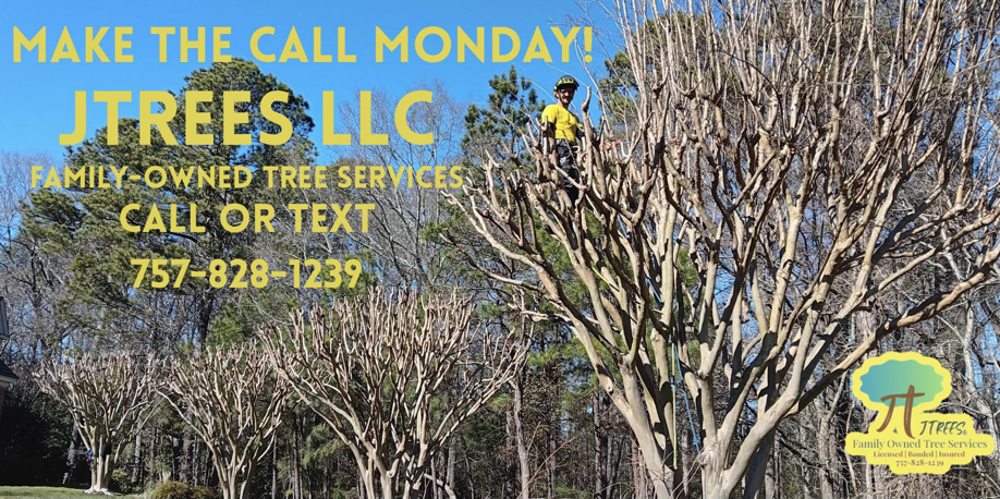 A tree service worker pruning a large crepe myrtle tree for JTrees LLC in Newport News, VA