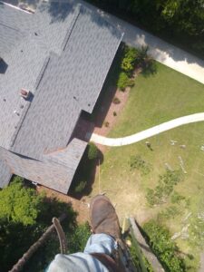 A tree worker's view from high in a tree, looking down at a roof and yard with cut tree debris from Arbor Elite SC in Columbia, SC.