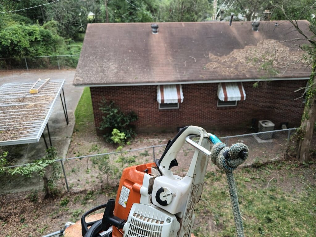 A tree worker holding a chainsaw high in a tree, preparing for work by Arbor Elite SC in Columbia, SC.