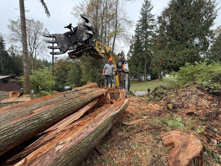 Two tree workers on a large fallen log with a grapple machine, performing tree removal for Snohomish Tree Company LLC in Everett, WA.