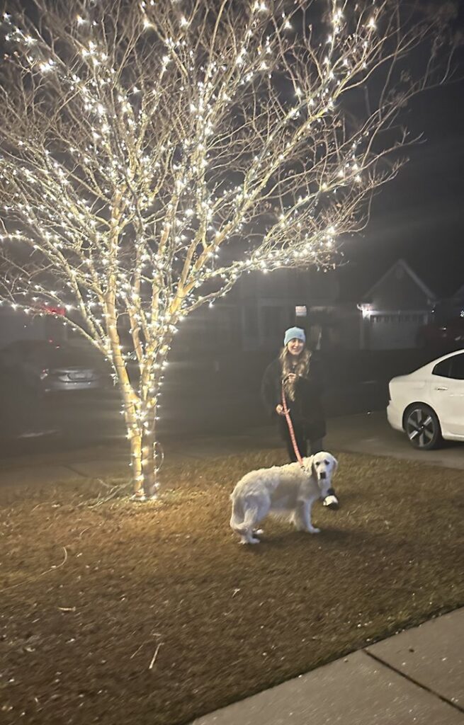 A front yard tree beautifully wrapped with white lights, showcasing a completed job by Lights Made Easy of Charleston, SC