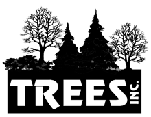 Trees Inc – Wyoming