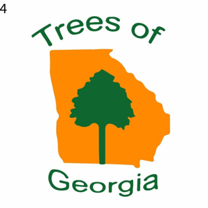 Trees of Georgia Tree Service