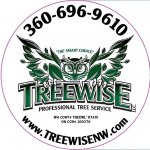 TreeWise LLC
