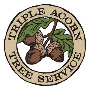 Triple Acorn Tree Service