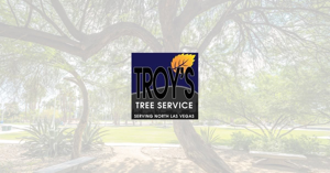 Troy’s Tree Service
