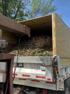 A truck bed filled with wood chips and tree debris, ready for removal by Woodchopper's Tree Service in Lennon, MI.