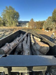 A truck bed filled with cut tree branches and logs after a tree service job by DeMasters Tree Care LLC in Nampa, ID.