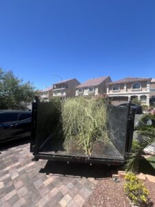 A truck bed loaded with green yard waste and tree trimmings, ready for hauling by Road Dogz Hauling in Las Vegas, NV.