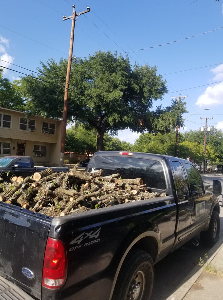 A black pickup truck loaded with cut tree branches and logs after a tree service job by Moreno Tree Services in San Antonio, TX.