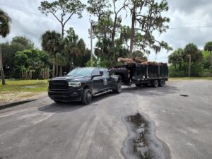 A Silverback Dumpster Rentals truck hauling a dump trailer filled with logs and tree branches in LaBelle, FL.