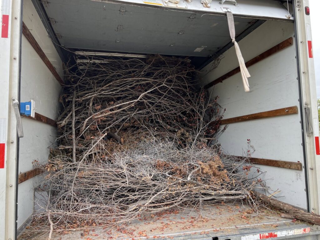 A truck loaded with tree branches and brush, ready for yard waste removal by SATX Junk-A-Haulics in San Antonio, TX.