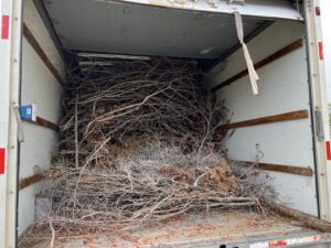 A truck loaded with tree branches and brush, ready for yard waste removal by SATX Junk-A-Haulics in San Antonio, TX.