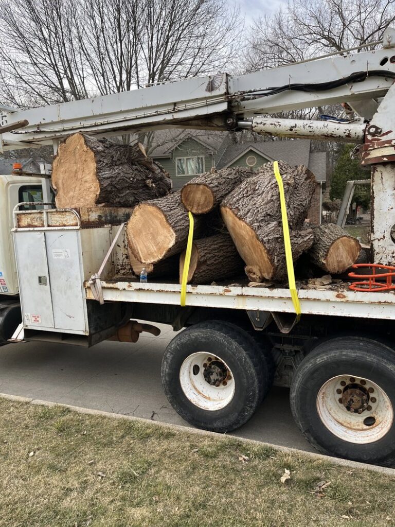 A truck bed loaded with large, freshly cut tree logs secured with straps by Southern Accent Tree Service in West Des Moines, IA.