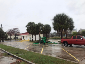 A red pickup truck towing a green tree service lift near palm trees for J.Pittman Services in New Orleans, LA.