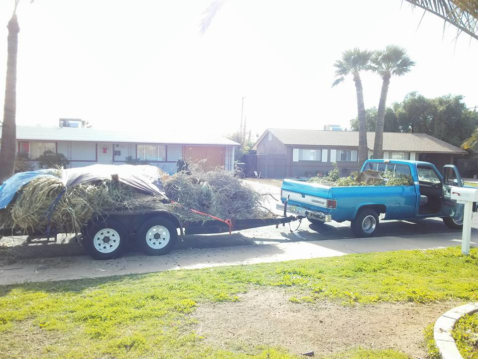 A blue pickup truck towing a trailer loaded with tree branches and debris for removal by Arts Aspect Tree Services in Mesa, AZ