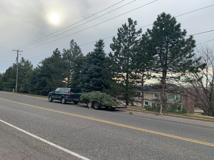 A truck and trailer loaded with tree cuttings on the side of a road, indicating tree service work by Fulmer Tree Service in Ogden, UT.