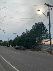 A truck and trailer loaded with tree debris on the side of a road at sunset, demonstrating tree service by Fulmer Tree Service in Ogden, UT.