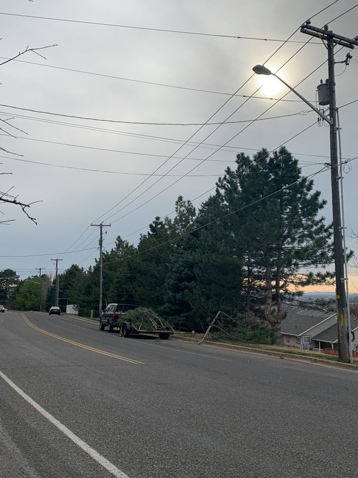A truck and trailer loaded with tree debris on the side of a road at sunset, demonstrating tree service by Fulmer Tree Service in Ogden, UT.