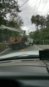 A truck transporting two large cut logs on its flatbed, demonstrating debris removal by Clyde's Tree Service in Indianapolis, IN.
