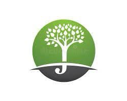 Two Brothers Lawn & Tree Service