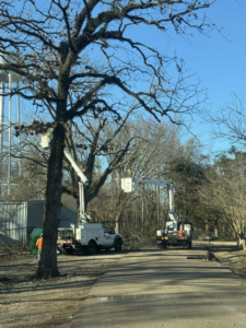 Two bucket trucks with workers performing tree trimming services for Risk Tree Service in Kenner, LA.