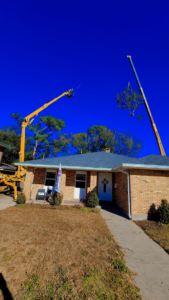 Two cranes removing tree sections over a residential house by Quality Tree Service, L.L.C in Kenner, LA.