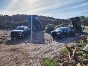 Two Silverback Dumpster Rentals trucks with dump trailers actively dumping green waste and vegetation in LaBelle, FL.