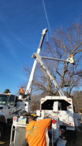 Two workers in separate bucket trucks are actively trimming a large tree for Southern Accent Tree Service in West Des Moines, IA.