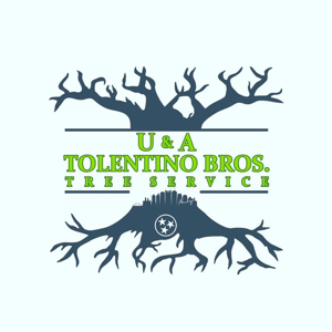 U & A Tolentino Bros Tree Services LLC