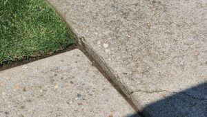 A close-up view of uneven and cracked concrete slabs on a walkway, a common issue fixed by A1 Concrete Leveling Cincinnati/NKY in Cincinnati, OH.