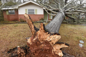 An uprooted tree fallen against a residential house, requiring emergency tree removal from Patriot Stump & Land in Montgomery, AL.