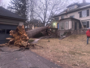 A large uprooted tree fallen onto a residential house and garage, requiring emergency tree service from Preservation Tree NH, LLC in Concord, NH