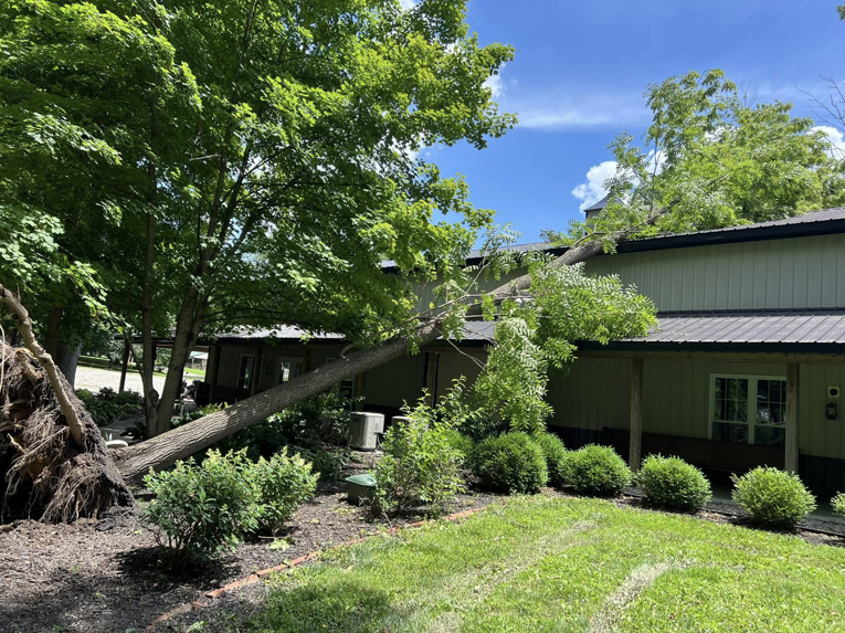 An uprooted tree fallen with its trunk resting on a building roof, requiring service from Hardin County Tree Service LLC Kentucky in Elizabethtown, KY.