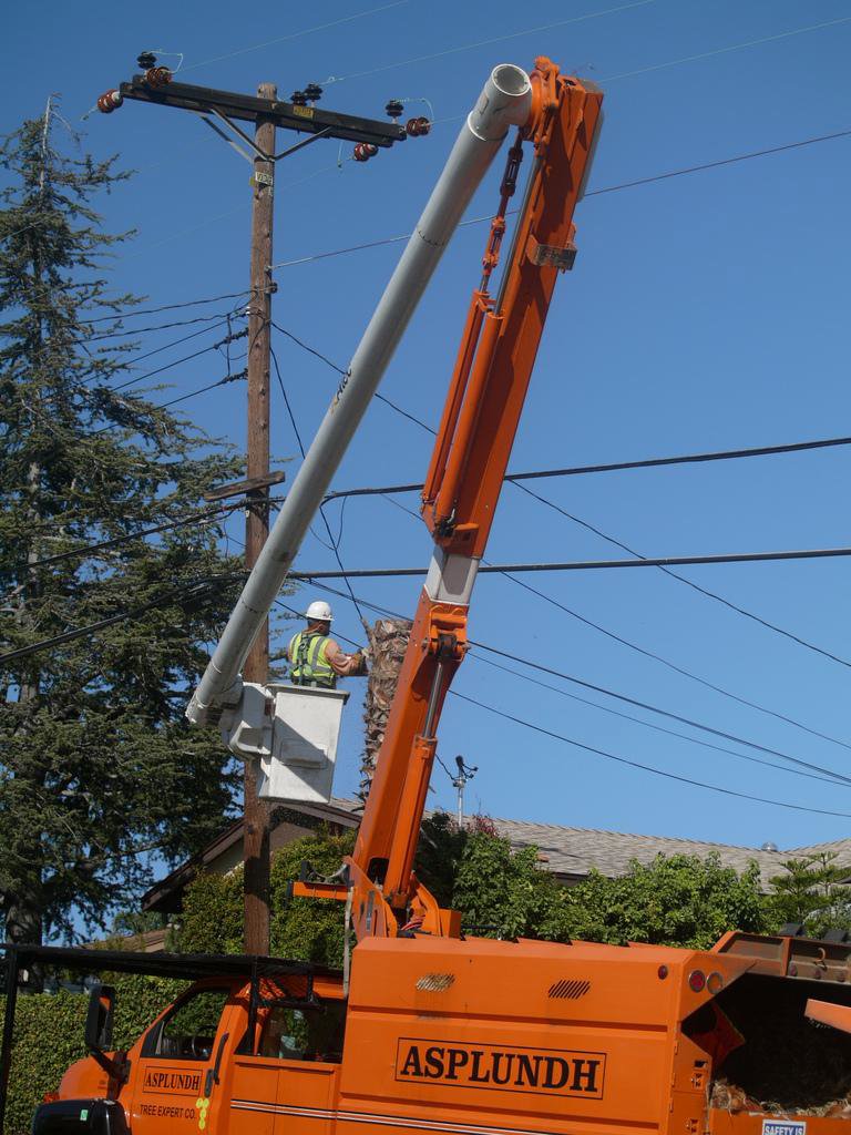 A tree service worker in a bucket lift performing utility line clearance and tree trimming for Little Rock Tree Service Pros in Little Rock, AR.