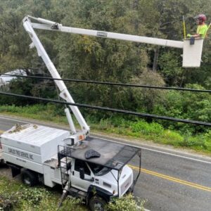 A Carlos Tree Service worker in a bucket lift trimming trees near utility lines, ensuring safety and clearance in Juneau, AK.