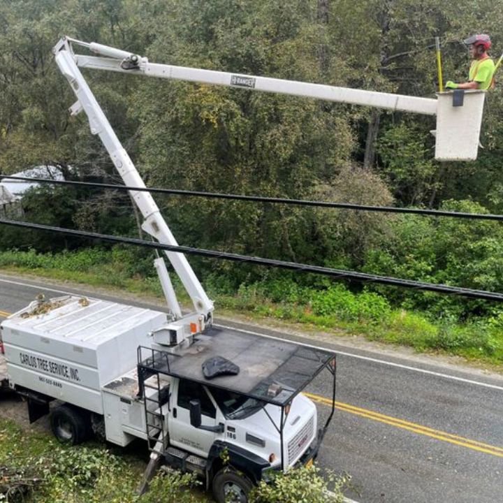 A Carlos Tree Service worker in a bucket lift trimming trees near utility lines, ensuring safety and clearance in Juneau, AK.
