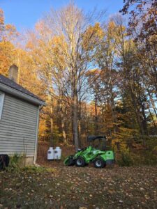 A green utility loader parked on a job site with autumn leaves for Trail Based Tree Service in Schenectady, NY.