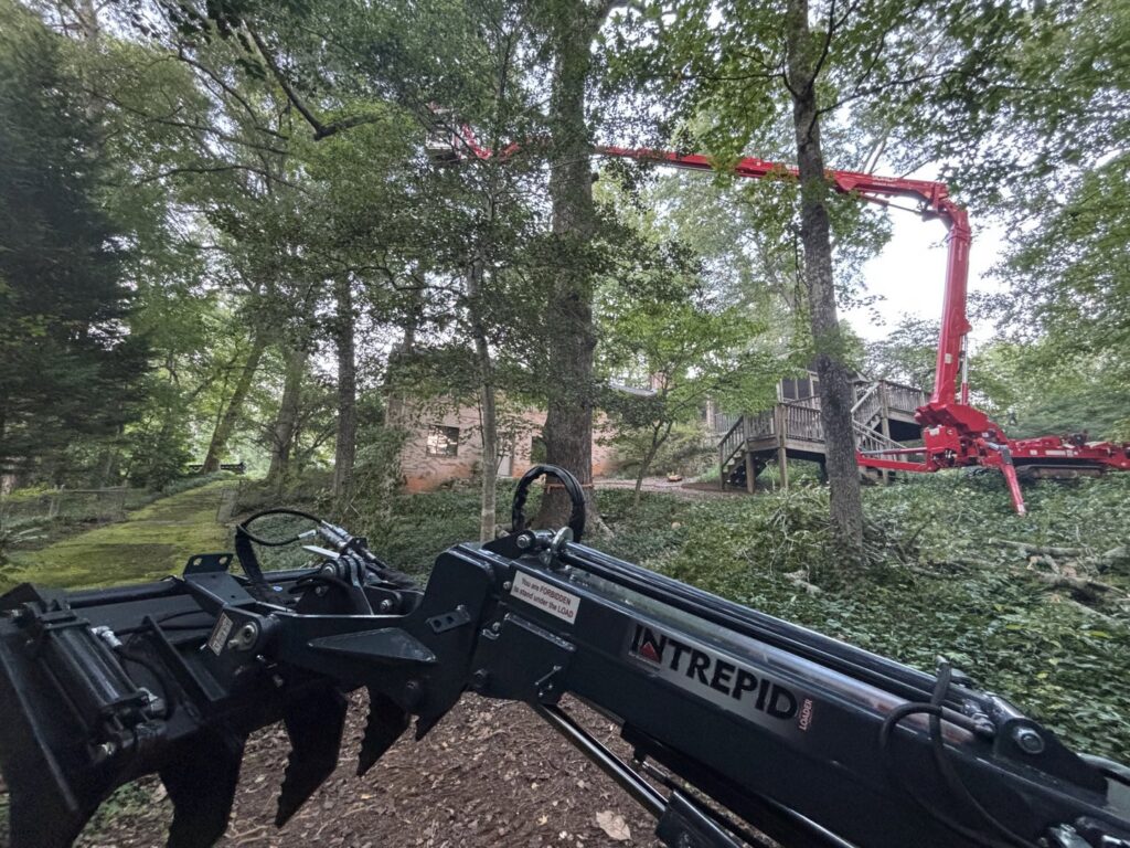 A view from a utility loader towards a red spider lift working on trees at a Signature Tree Service job site in Greenville, SC.