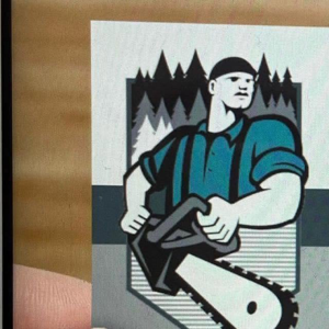 Ventura Tree Services