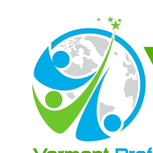 Vermont Professional Solutions LLC.