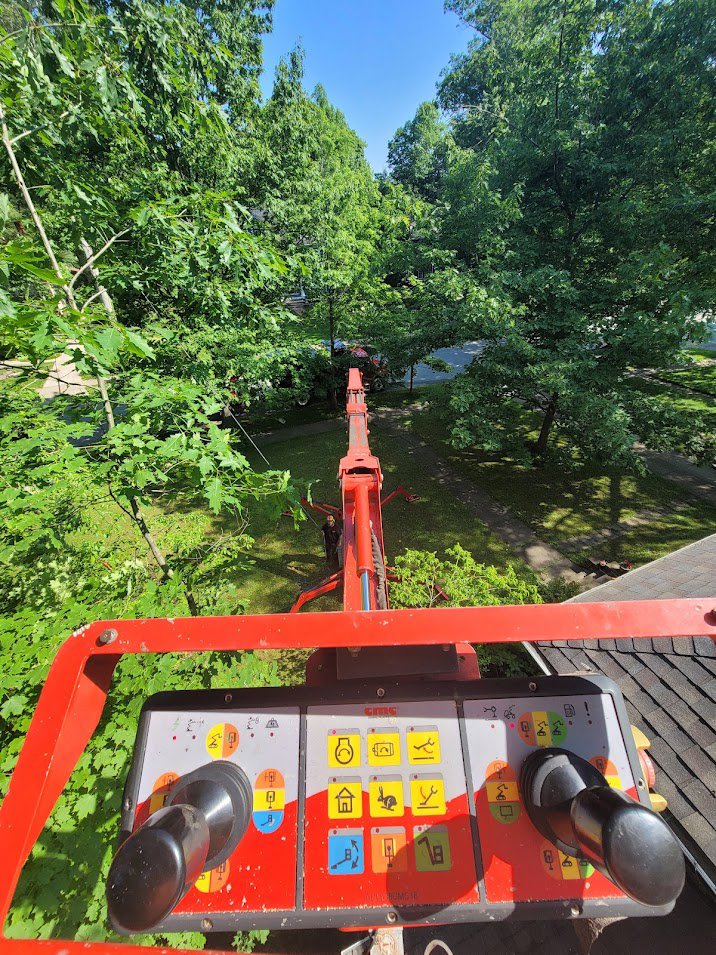 Point of view from a bucket lift, showing the boom and surrounding trees during a tree trimming job by Dave's Tree & Stump Removal LLC in Parma, OH.