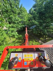 Point of view from a bucket lift, showing controls and surrounding trees during a trimming job by Dave's Tree & Stump Removal LLC in Parma, OH.